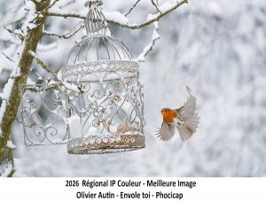 2026_IP_Couleur